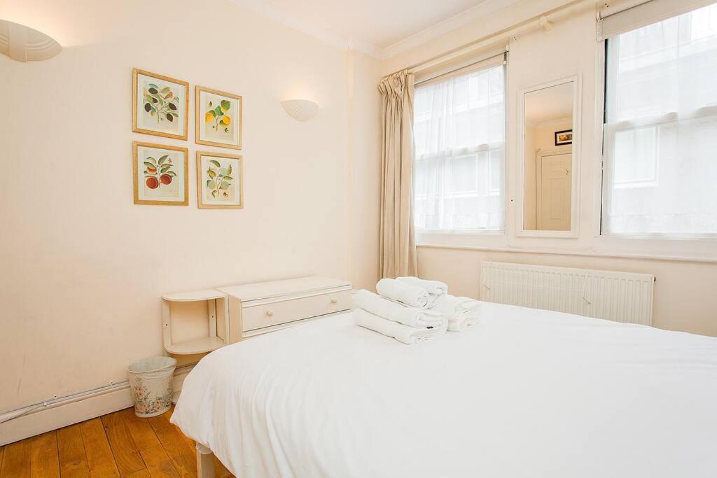 Bright 2 Bedroom Flat In Central Londra Esterno foto